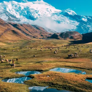 Ausangate Trek to Rainbow Mountain 4 Days | Peru Adventure