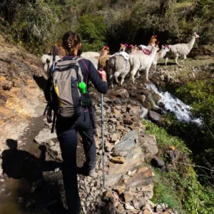 Lares Trek to Machupicchu 4D/3N